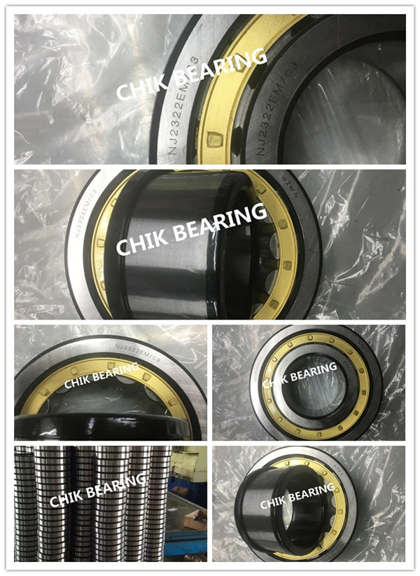 China Factory Nj Type Cylindrical Roller Bearing Double Outer Walls Single Row